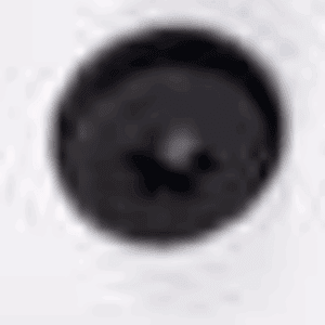 Damping Pad REAR FRAME