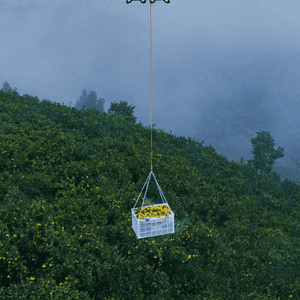 DJI Dual-Battery Lifting System (T100)